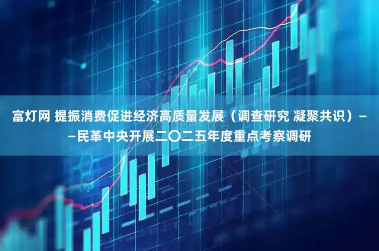 富灯网 提振消费促进经济高质量发展（调查研究 凝聚共识）——民革中央开展二〇二五年度重点考察调研