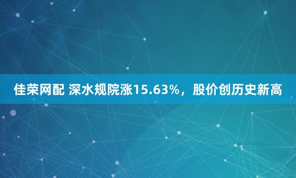 佳荣网配 深水规院涨15.63%，股价创历史新高