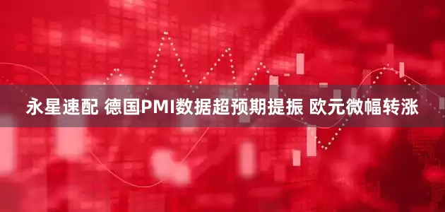 永星速配 德国PMI数据超预期提振 欧元微幅转涨
