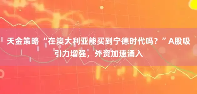 天金策略 “在澳大利亚能买到宁德时代吗？”A股吸引力增强，外资加速涌入
