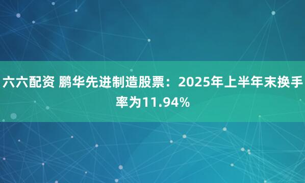 六六配资 鹏华先进制造股票：2025年上半年末换手率为11.94%